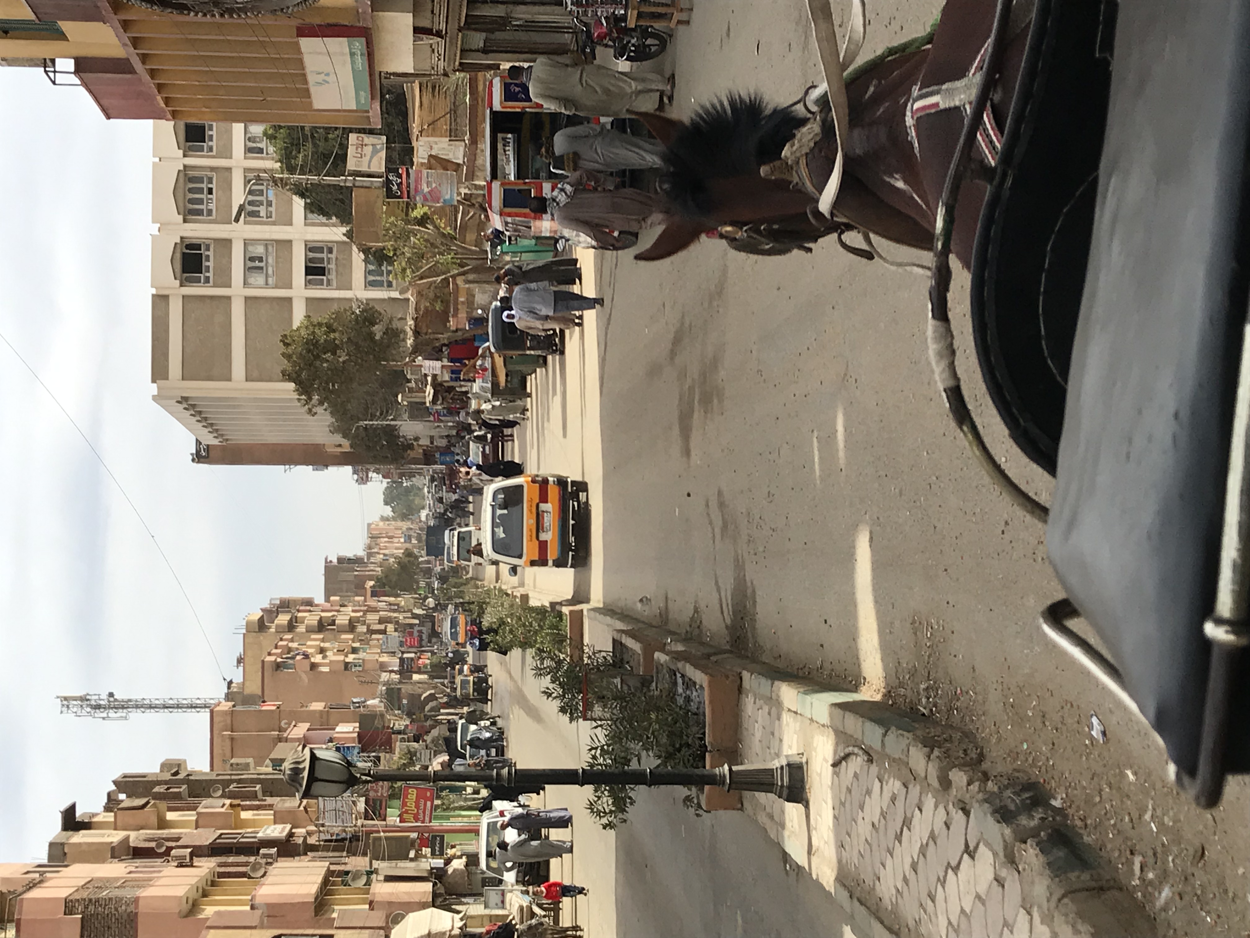 ./2018/16 - Egypt/11 - Edfu/IMG_4153.jpg